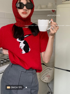 刺绣兔子毛衣女短款上衣设计感师