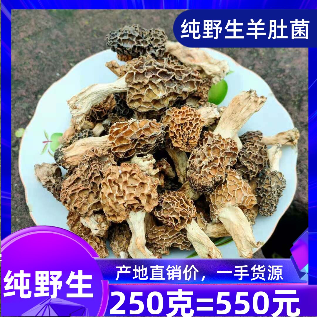 野生头茬羊肚菌干货纯野生250克新货食用蘑菇羊肚菇菜250g包邮
