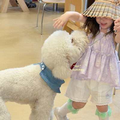 AH·26夏～淡紫色印花娃娃衫 77191 白色花边短裤77122