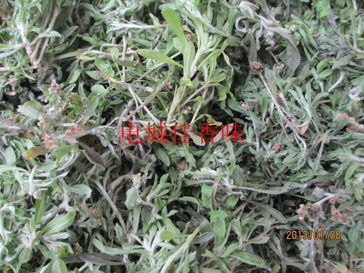 新鲜鼠曲草 佛耳草 追骨风 绒毛草清明菜棉花菜田艾草500克冬春有