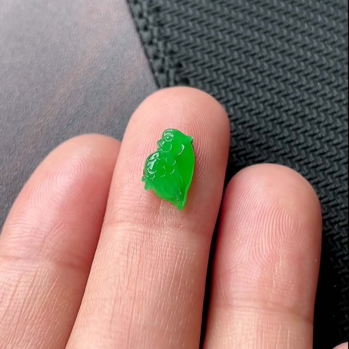 蓝蓝缅甸天然翡翠A货冰润阳绿鹦鹉