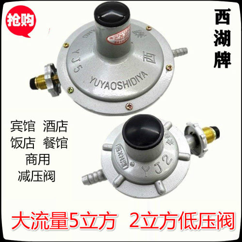 西湖牌2立方5立方商用减压阀