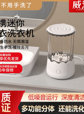 内衣内裤小型全自动洗衣机洗袜子