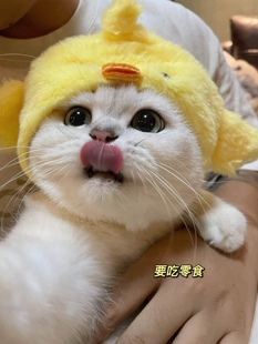 包邮 美国SolidGold金素,金装无谷全猫粮 12磅 成幼猫粮