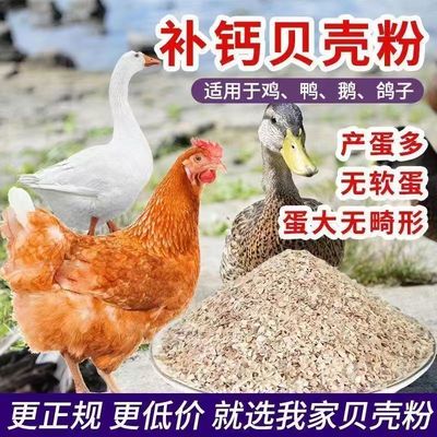 贝壳粉饲料 牡蛎粉贝壳饲料 鸡用补钙鸽子贝壳保健砂贝壳饲料包邮