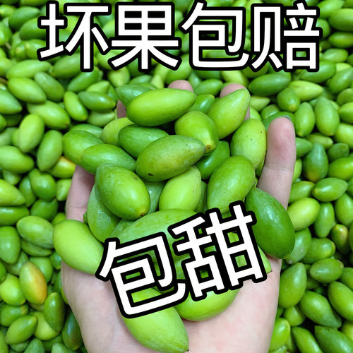 潮汕甜种青橄榄鲜果生吃甜脆无渣