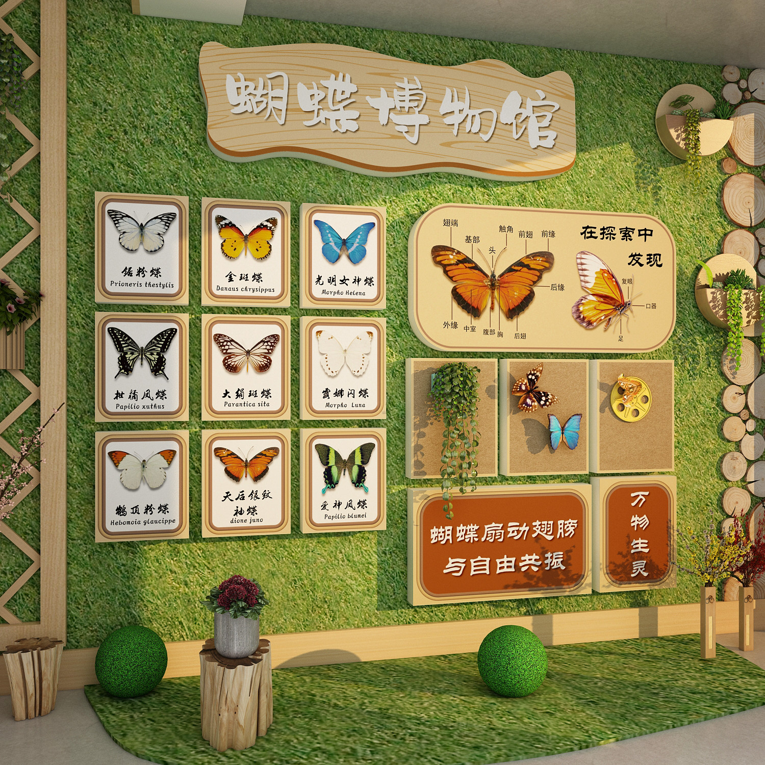幼儿园昆虫主题墙贴环创成品标本展示博物馆墙面装饰布置材料造景