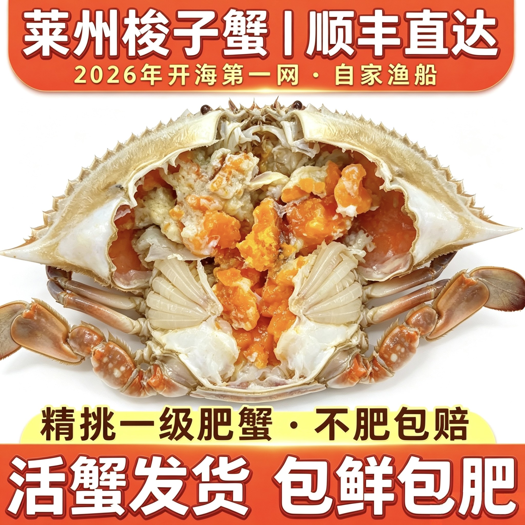 【保鲜不保活】莱州活鲜梭子蟹满黄膏母蟹海蟹飞蟹生鲜次日达螃蟹