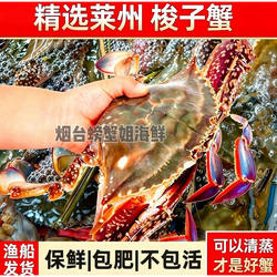 【保鲜不保活】莱州梭子蟹活鲜次日达超大母公蟹白蟹顺丰冷链活鲜