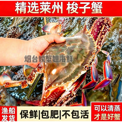 【保鲜不保活】梭子蟹活发新鲜大母公蟹特大白蟹山东螃蟹海蟹飞蟹