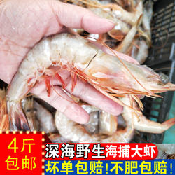 对虾鲜活新鲜野生冷冻大号特大对虾海虾基围虾超大鲜活虾鲜虾500g