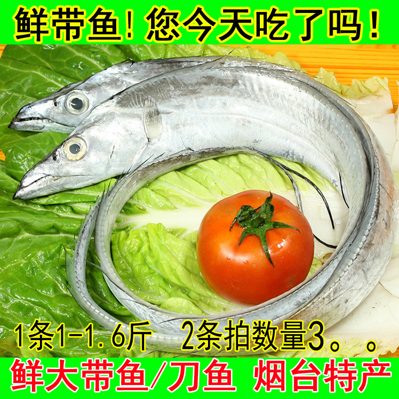 新鲜特级烟台大带鱼冷冻鲜活非东海刀鱼整条油带鱼段海鲜水产
