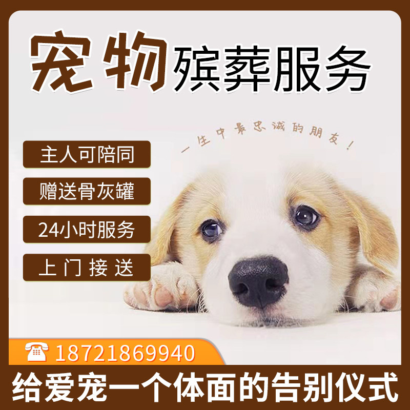 上海宠物殡葬火化动物无害化安葬狗狗猫咪兔子仓鼠上门安乐24小时