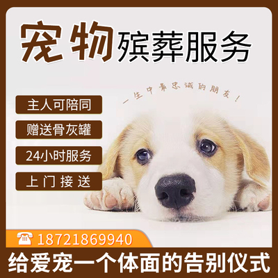 上海宠物殡葬火化动物无害化安葬狗狗猫咪兔子仓鼠上门安乐24小时
