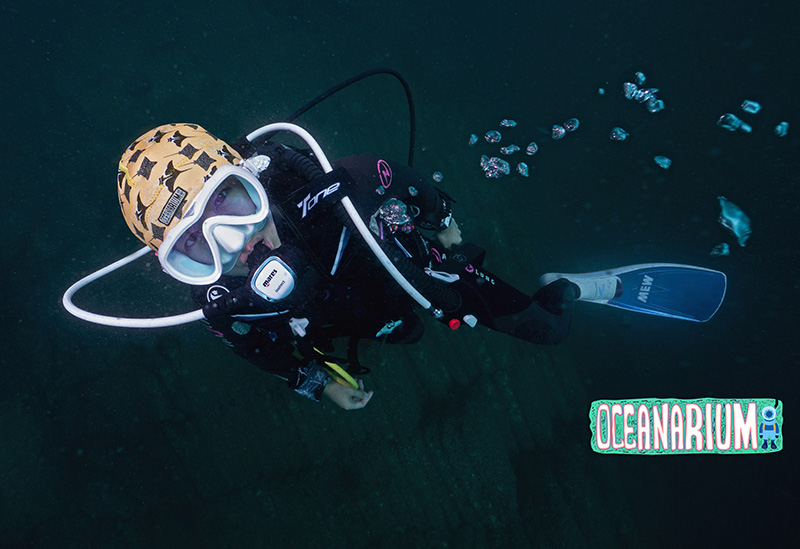 OceanArium游泳帽潜水速干头套可爱保暖水上运动帽子护耳鲨鱼鲸鲨