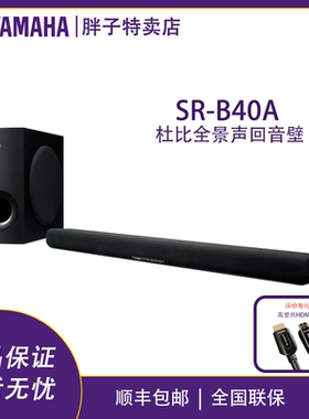 雅马哈B40A杜比全景声回音壁