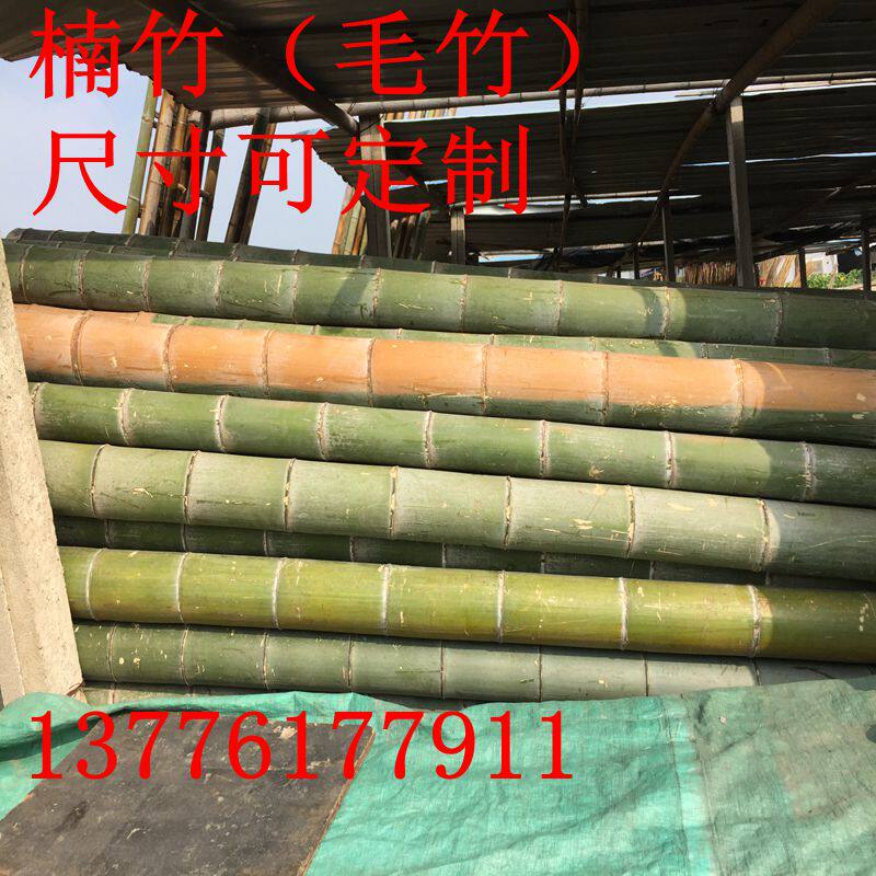 原生毛竹楠竹老竹子竹竿青竹绿竹山上老竹子加工竹片装潢工艺竹子