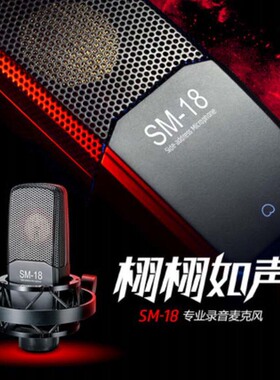 Takstar/得胜 SM-18麦克风直播设备全套主播电容话筒手机声卡电脑