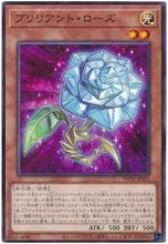 【黑猫卡牌】游戏王-平卡N- 明亮蔷薇 1109