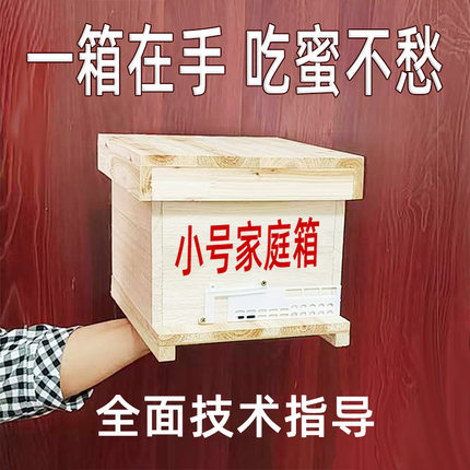小号家庭养蜜蜂箱储王育王交尾箱诱蜂箱蜂桶中蜂意蜂小型微形蜂箱