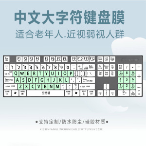 适用诺必行SK100爱国者WQ7615台式机追光豹S500键盘膜中文大字母