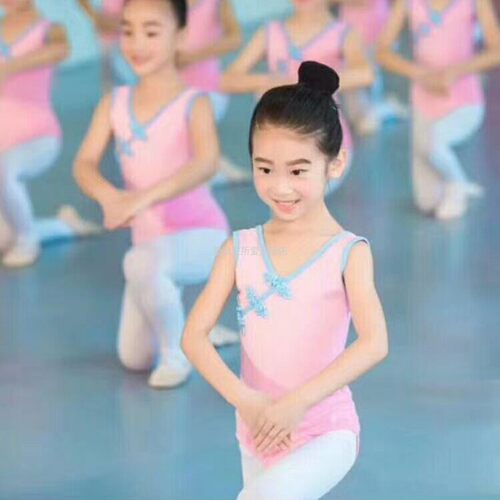 考级民族芭蕾修身半袖棉体舞蹈服