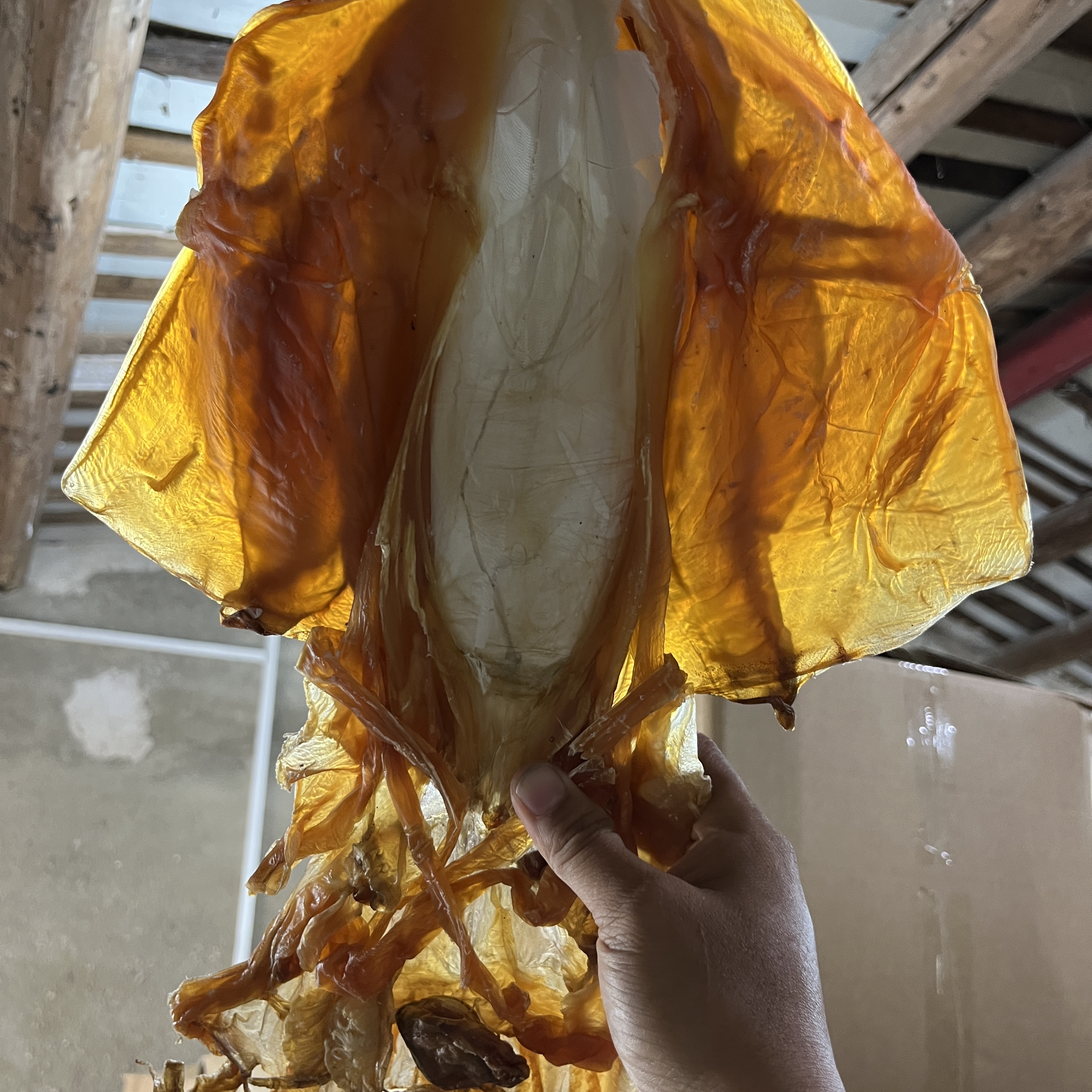 大号墨鱼干野生血墨鱼干海鲜干货鱿鱼干目鱼干乌贼干红墨鱼