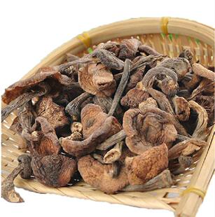2023年东北野生榛蘑蘑丁小鸡炖蘑菇干货食用菌东北干蘑菇500g包邮