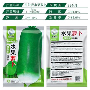秋季里外青绊倒驴青萝卜种子水果沙窝青萝卜籽九甜青脆青萝卜种子
