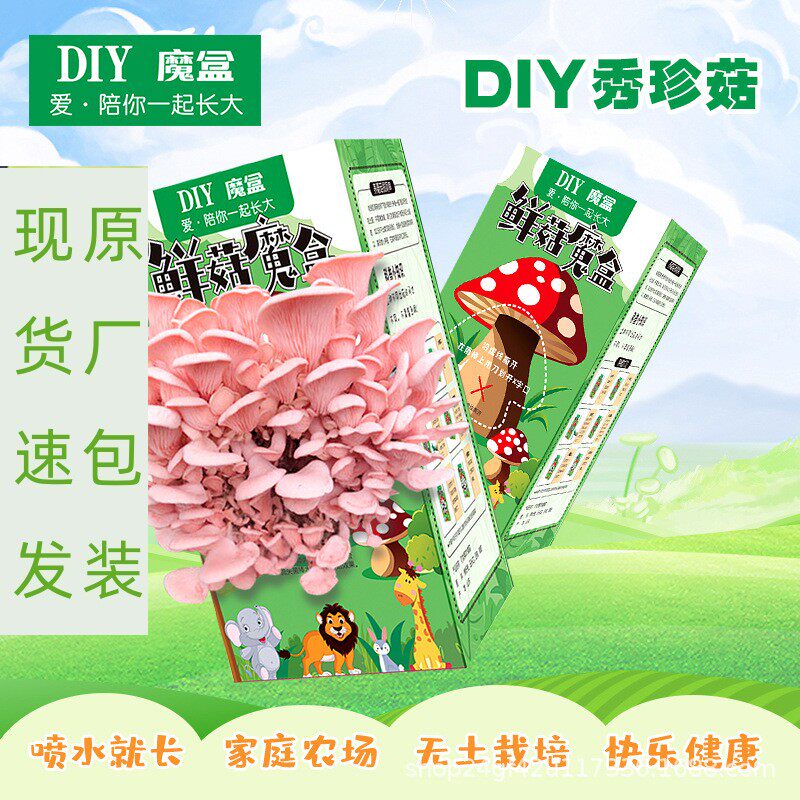 蘑菇盒子diy菌包平种食用