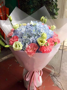 郑州康乃馨鲜花速递廊坊潍坊兰州贵阳花店送长辈妈妈生日探病花束