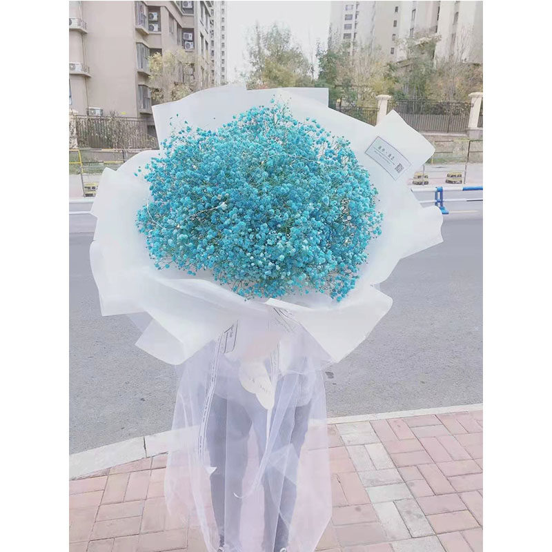 满天星玫瑰花束礼盒生日鲜花速递绍兴同城越城柯桥上虞诸暨送全国