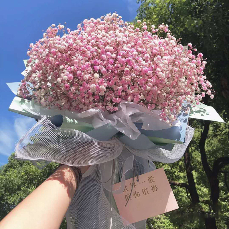 江苏满天星南京无锡杭州鲜花速递