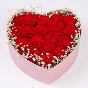 康乃馨礼盒北京成都鲜花上海花店南京南通常州订花徐州鲜花速递