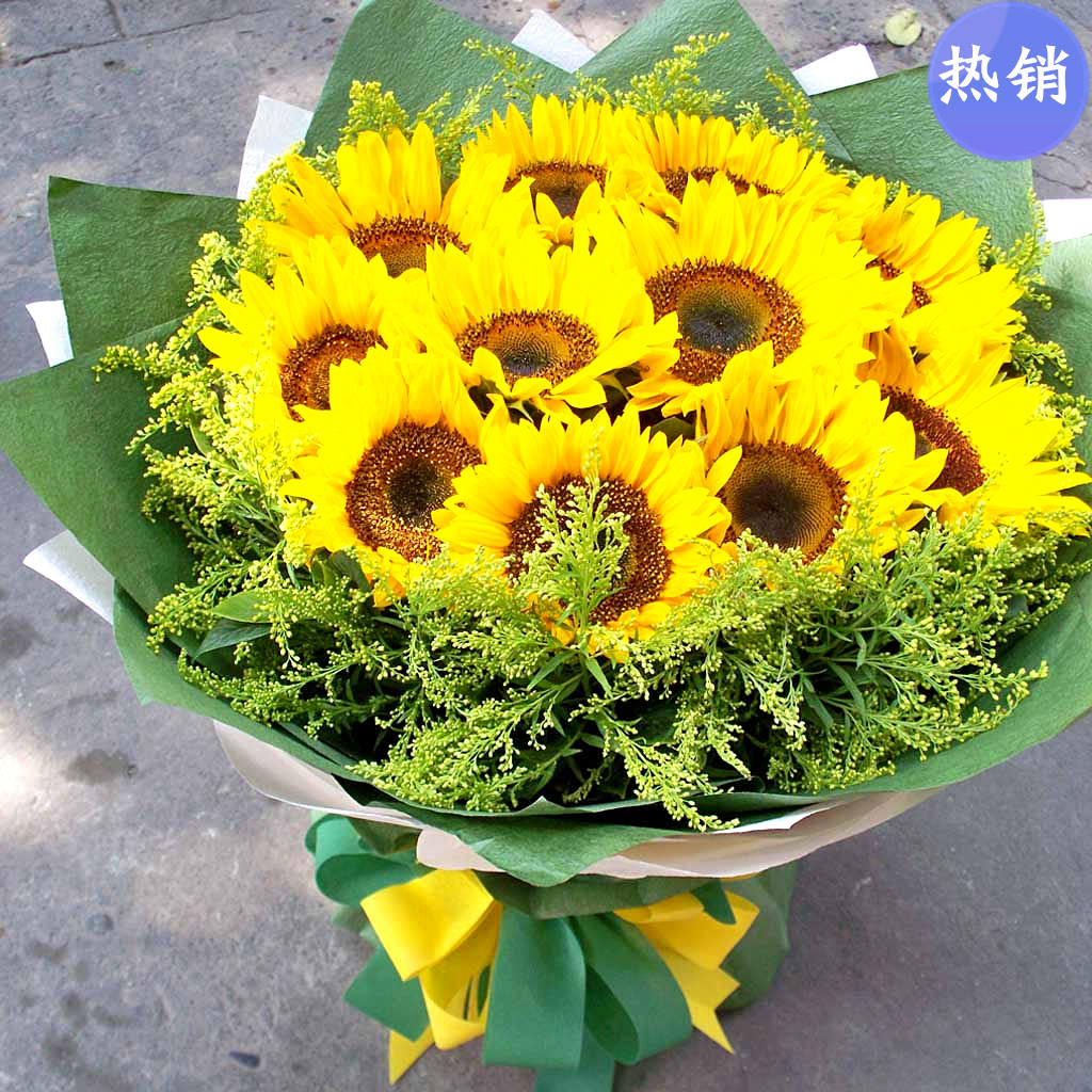 向日葵康乃馨鲜花北京同城红玫瑰