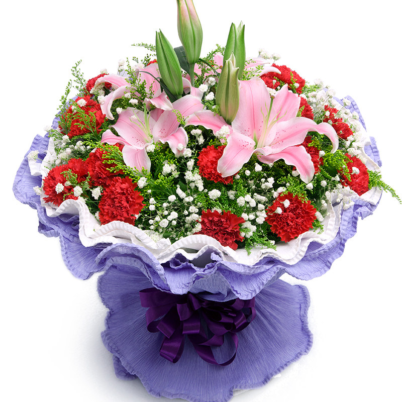 红粉康乃馨香水百合花束南阳鲜花速递宛城卧龙区同城生日配送花店,鲜花速递/花卉仿真/绿植园艺,鲜花速递(同城),淘宝优惠券,粉丝福利购,淘宝优惠卷