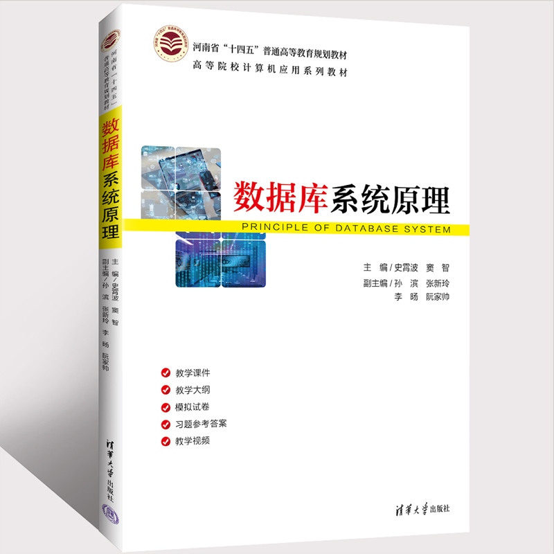 【官方正版新书】数据库系统原理 史霄波 窦智 副主编 清华大学出版社 数据库