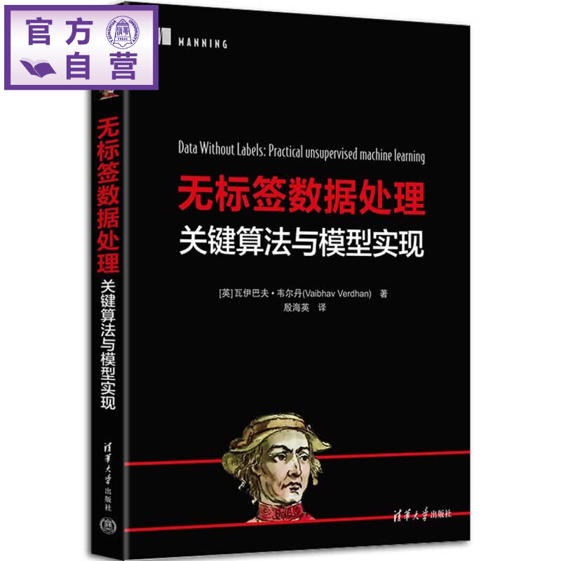 【官方正版新书】 无标签数据处理：关键算法与模型实现 [英]瓦伊巴夫·韦尔等 清华大学出版社 无标签数据处理，关键算法，
