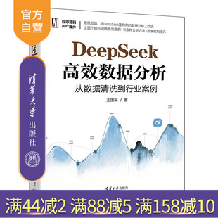 【官方正版新书】 DeepSeek高效数据分析：从数据清洗到行业案例 王国平 清华大学出版社 DeepSeek、数据分析