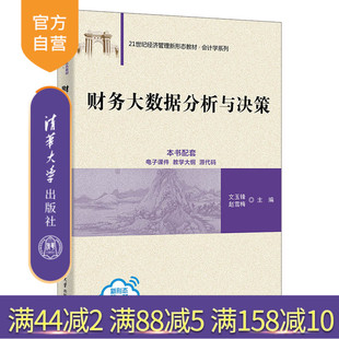 【官方正版新书】财务大数据分析与决策 文玉锋、赵雪梅 清华大学出版社  财务大数据、数据分析、财务决策、财务分析