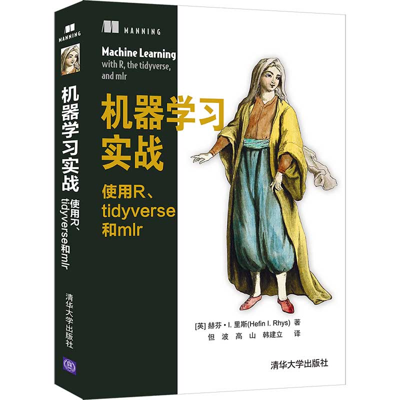 【官方正版】机器学习实战：使用R、tidyverse和mlr 赫芬·I.里斯 清华大学出版社深度学习神经网络