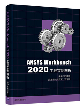 【官方正版】ANSYS Workbench 2020工程实例解析 田建辉 清华大学出版社 有限元分析应用软件