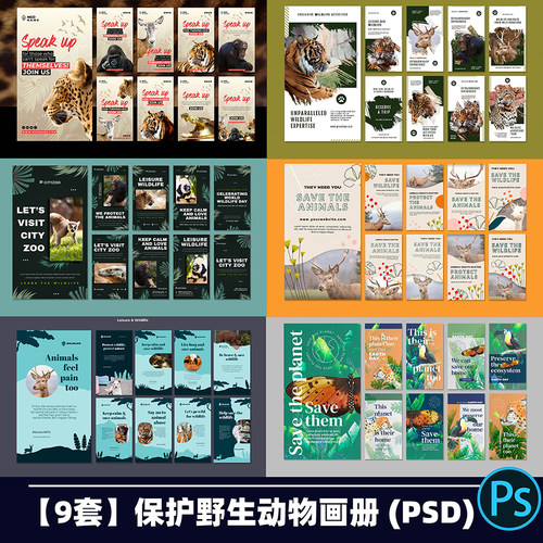 Y183稀有动物保护动物野生动物保护宣传画册书籍杂志模板PS源文件