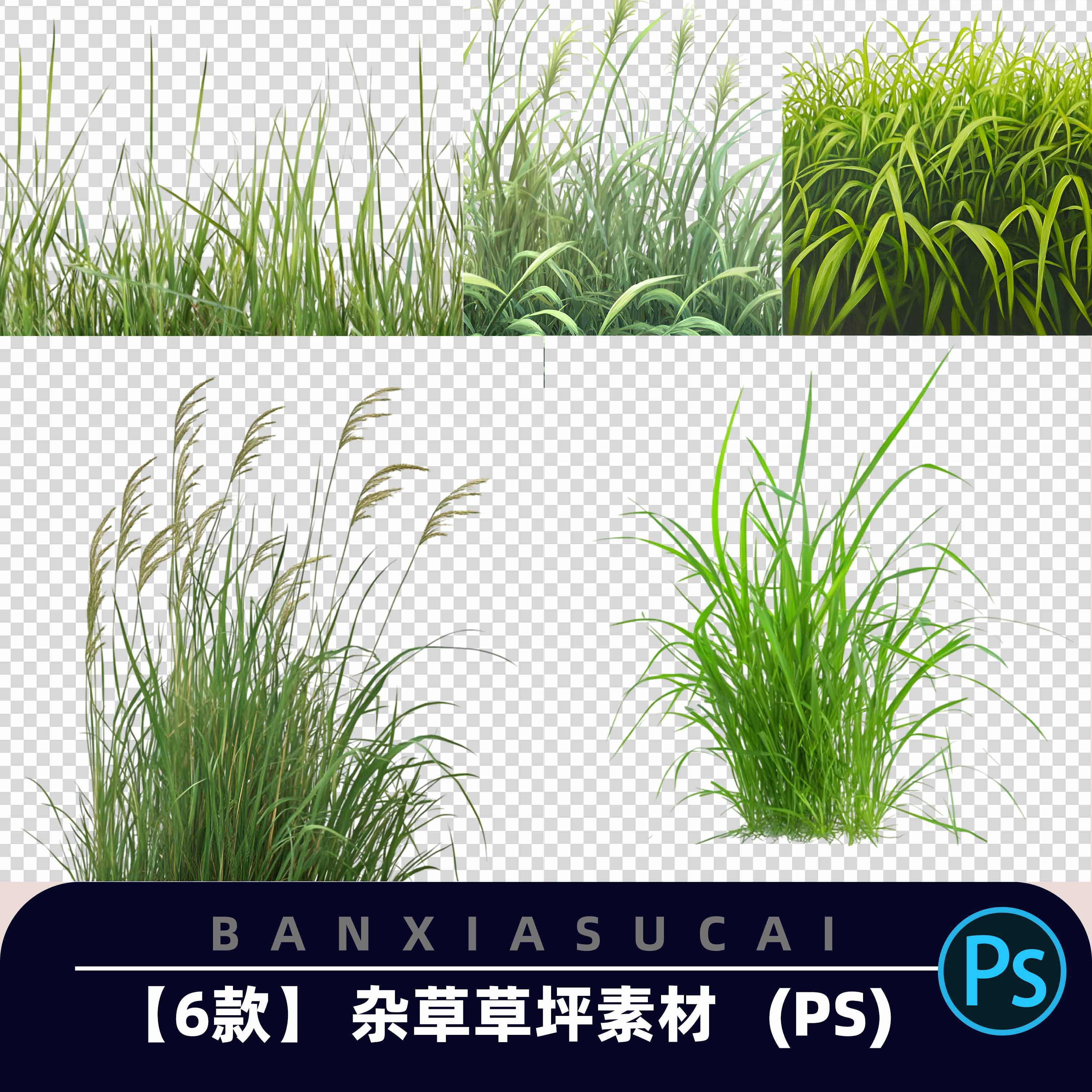 Y019草类杂草野草植物园林景观后期合成PSD分层源文件PS设计素材