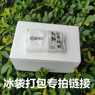 可定制丽水大洋泡精肉拍购打包沫箱泡冰袋专链接 不单代卖