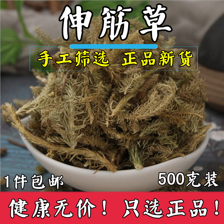 中药材新货 舒筋草大伸筋草伸筋草/石松/狮子草/舒筋草 500克包邮