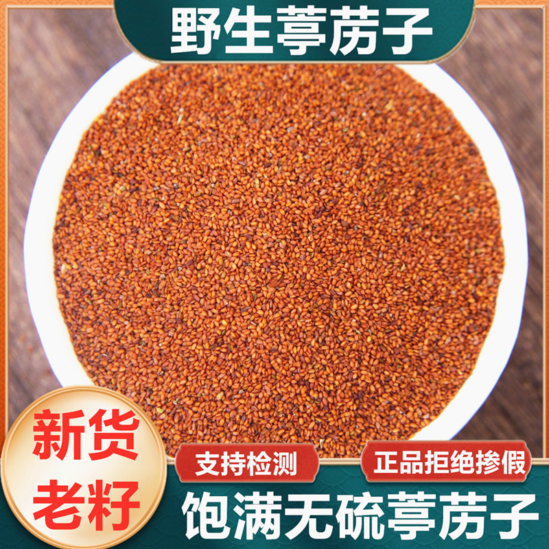 葶苈子中药材野生葶力子亭力子葶苈籽正品新货500g包邮炒葶苈子