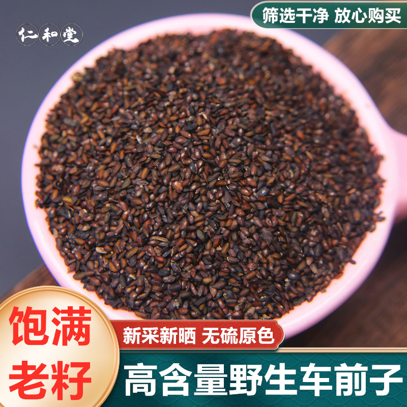 野生车前子500克g车前籽中药材