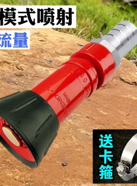 大流量消防级高压水泵庭院园林绿化浇花洒水浇菜喷头洗车冲洗水枪