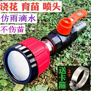 农用洒水浇地浇菜园林浇水浇花雾化育苗花洒水枪4分6分1寸喷头